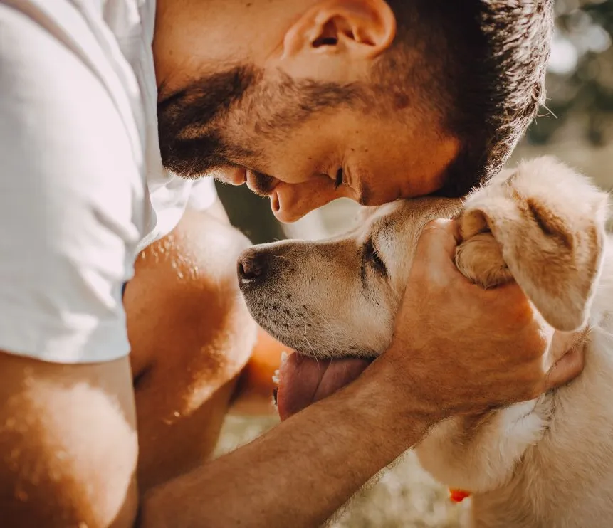 A man lovingly pressing his forehead against a Labrador Retriever’s head while gently holding the dog’s ears.