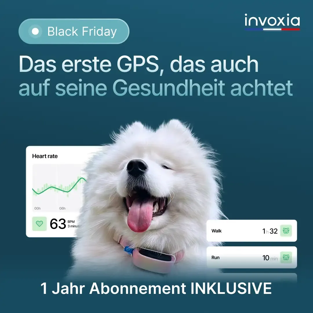 Black Friday Angebot