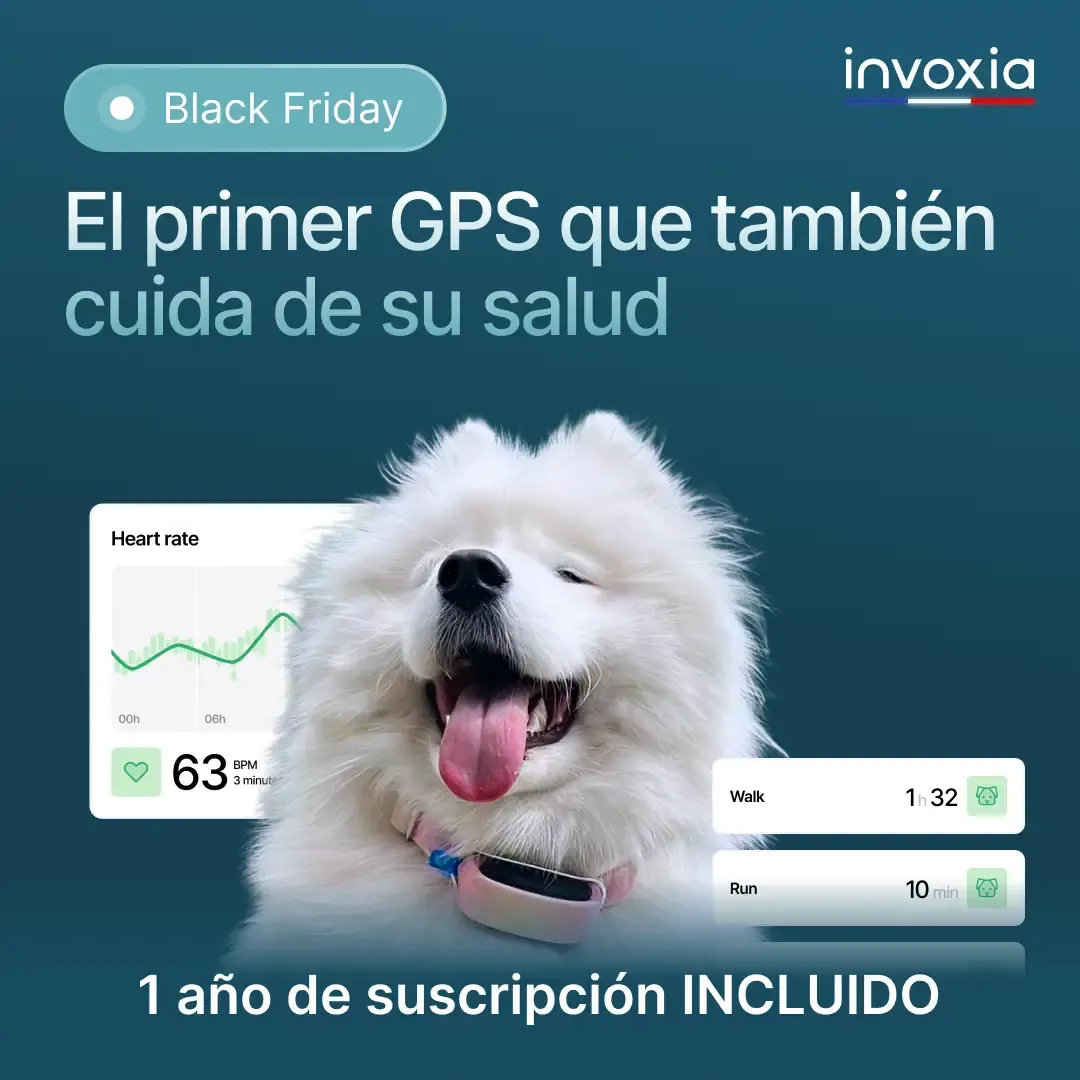Oferta del Black Friday