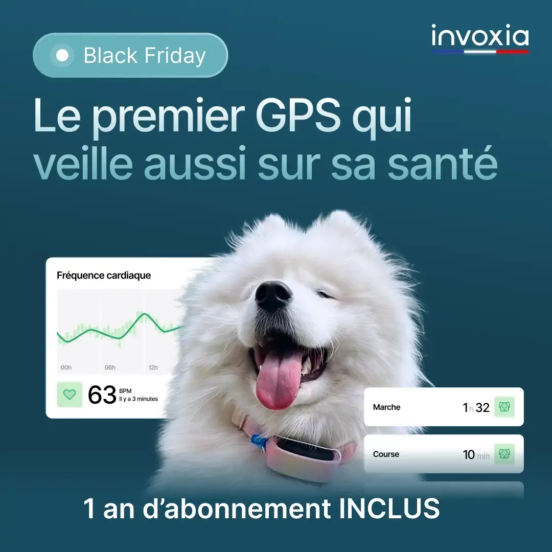 Offre Black Friday