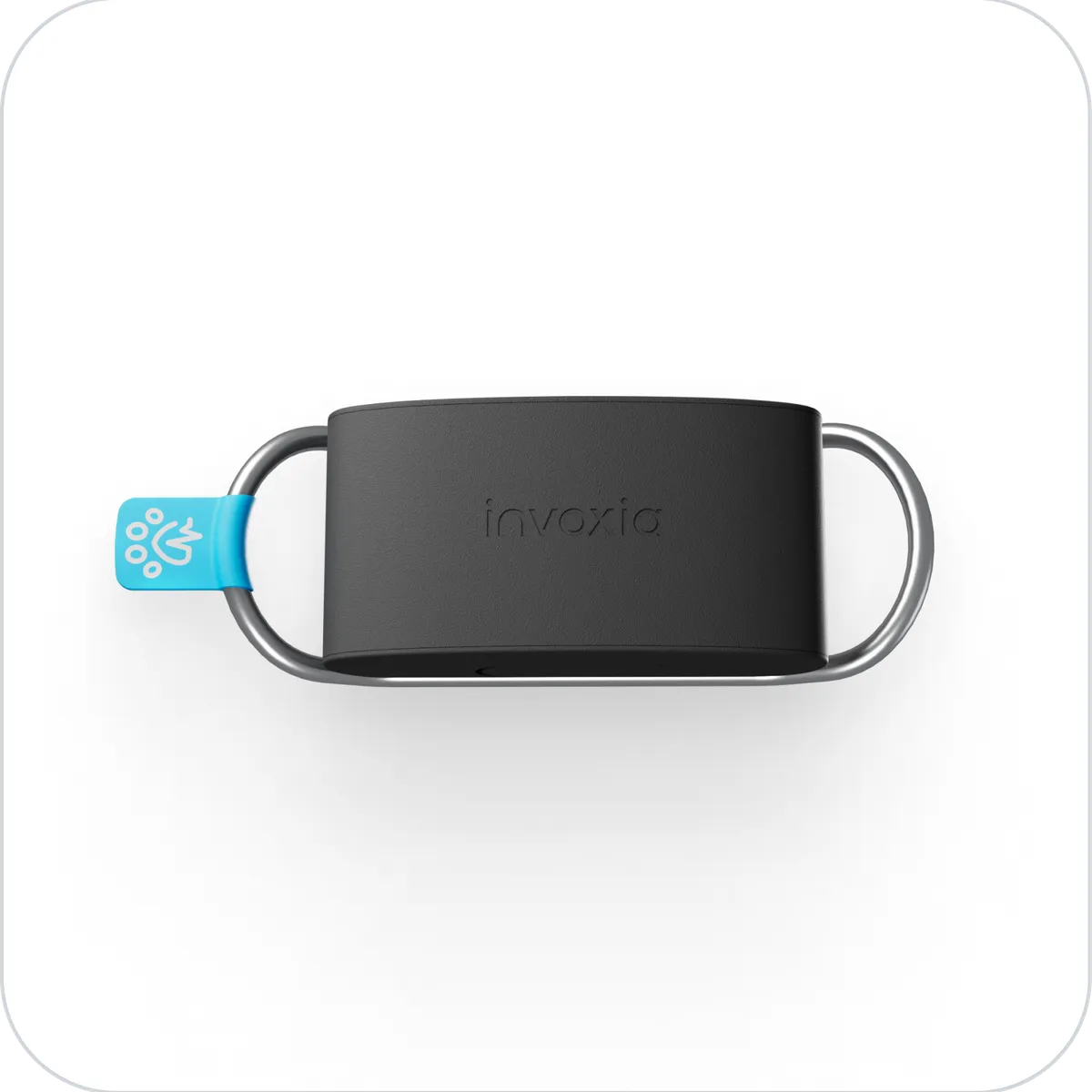 Minitailz sur fond blanc