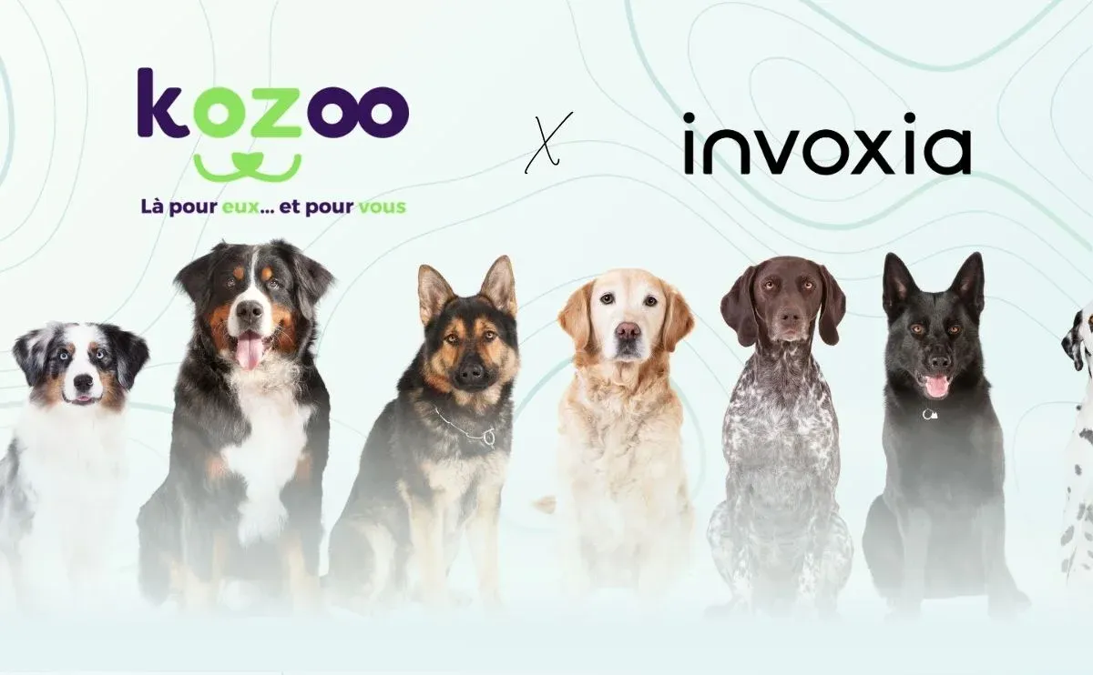 Logos Kozoo et Invoxia devant une rangée de chiens de différentes races
