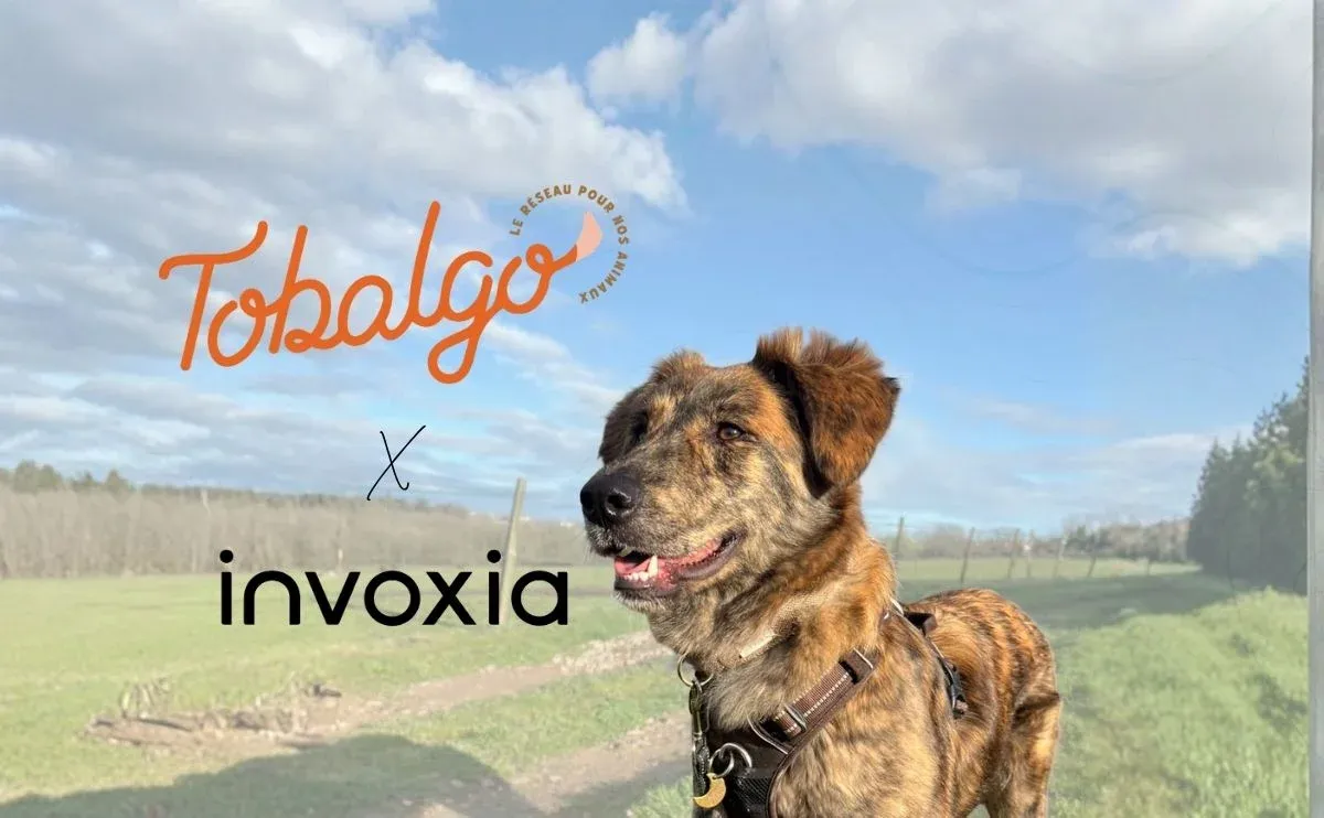 Logos Tobalgo et Invoxia avec un chien à poil long dans un champ