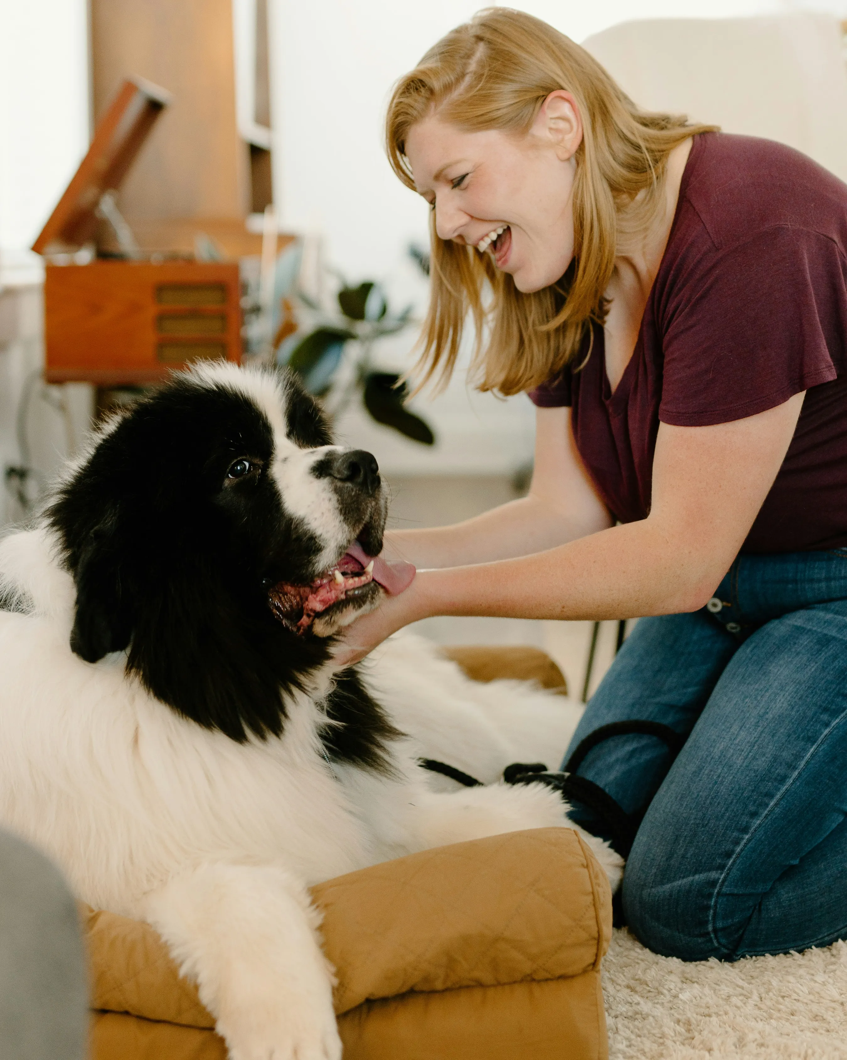 Collar GPS para perros