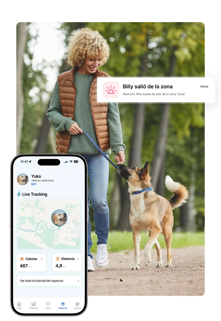 Una mujer pasea a su perro, junto a la app de localización GPS del Biotracker para perros: el paseo seguido con Live Tracking en el mapa, calorías y distancia recorrida, con una alerta de salida de la zona Casa.