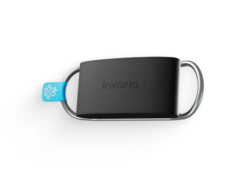 Minitailz sur fond blanc