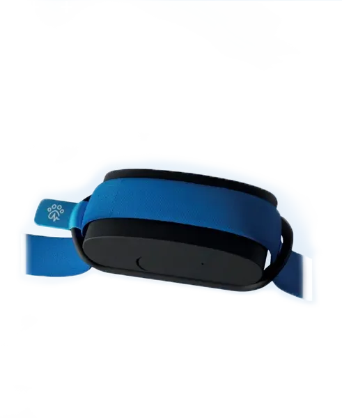 traceur gps chien facile à attacher