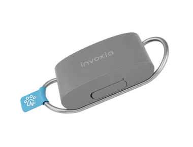 Biotracker Invoxia, collier connecté pour chien