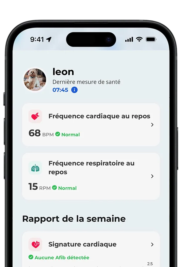 Application avec traceur de santé pour chien