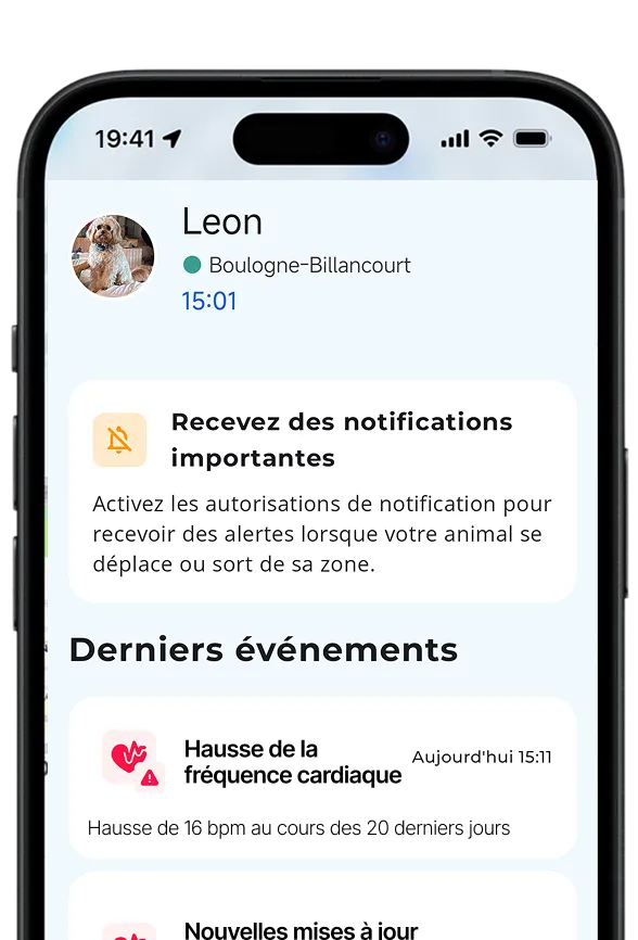Traceur santé pour chien avec alertes en temps réel sur l'application Invoxia
