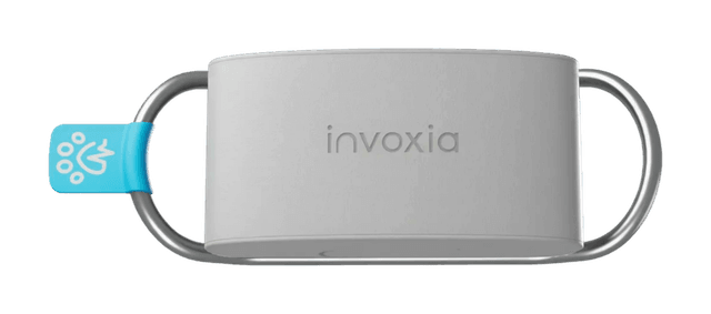Invoxia Biotracker zur Gesundheitsüberwachung am Hundehalsband