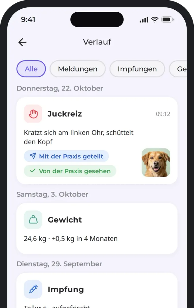 Verlauf der Einträge im Gesundheitsheft