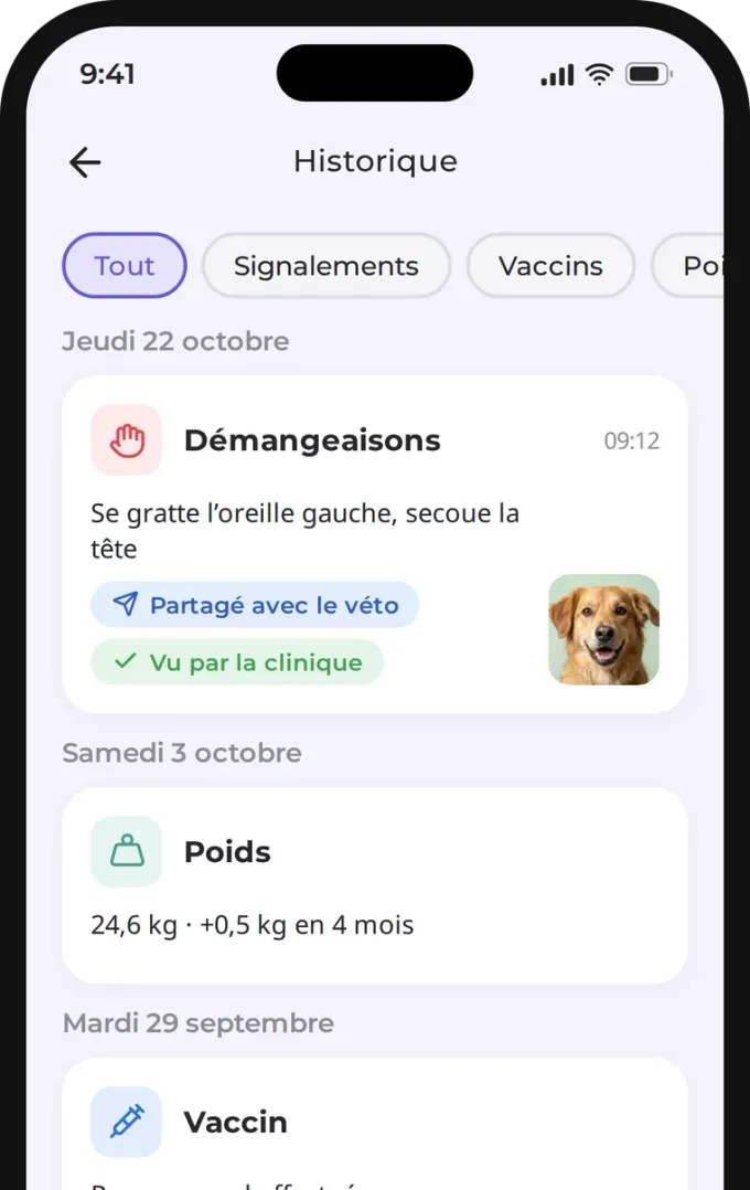 Historique des entrées du carnet de santé