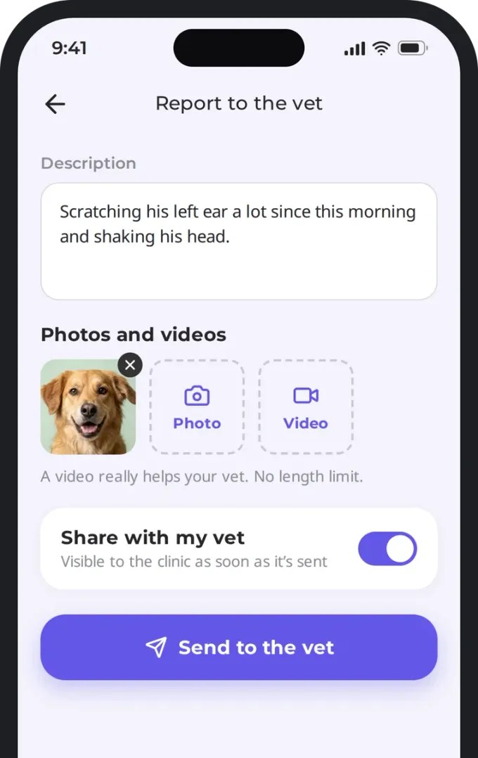 Attaching a photo and sending the report to the vet