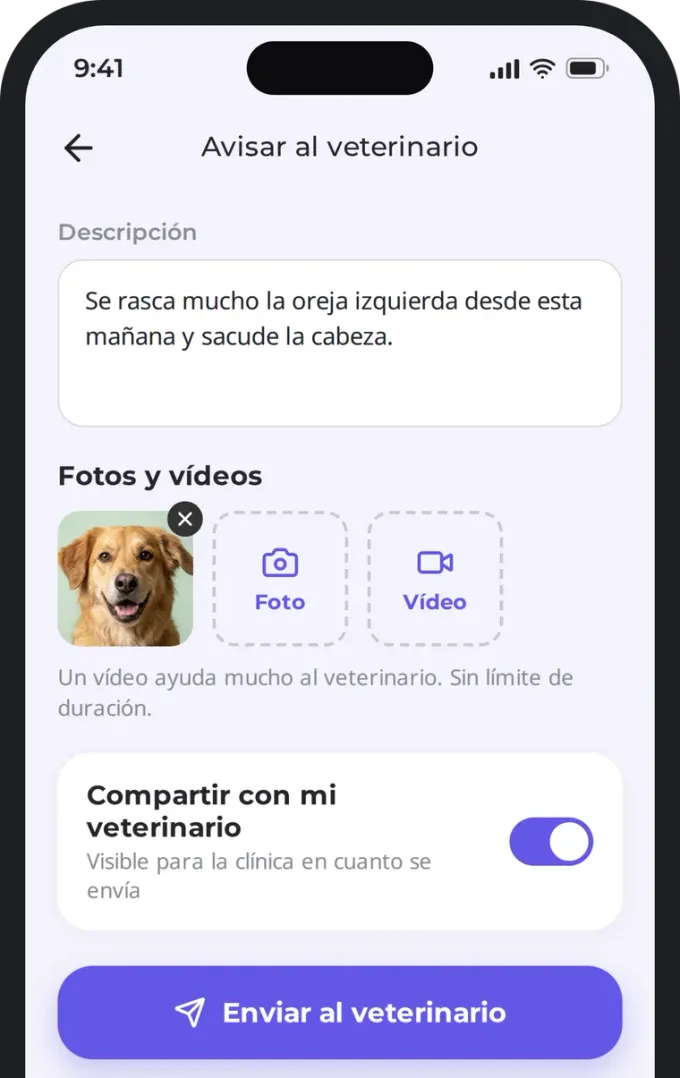Añadir una foto y enviar el aviso al veterinario