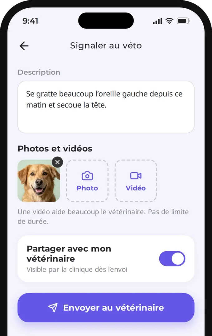 Description, photo et envoi du signalement au vétérinaire