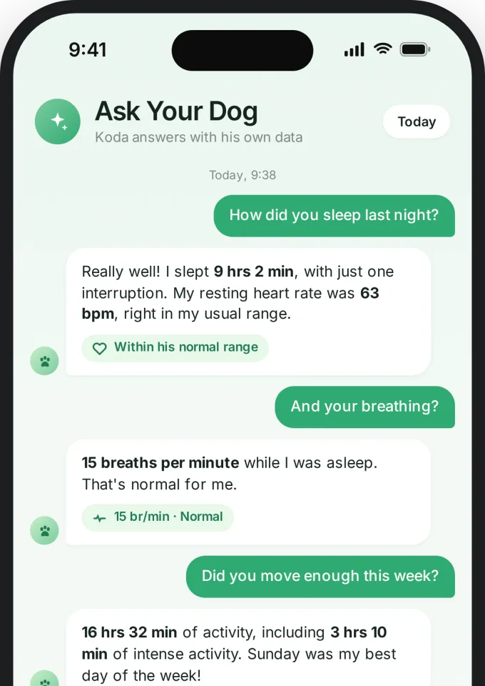 Ask Your Dog on a phone: a conversation with Koda about sleep, heart rate, breathing and activity