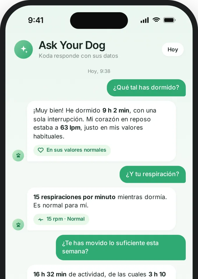 Ask Your Dog en el móvil: conversación con Koda sobre sueño, corazón, respiración y actividad