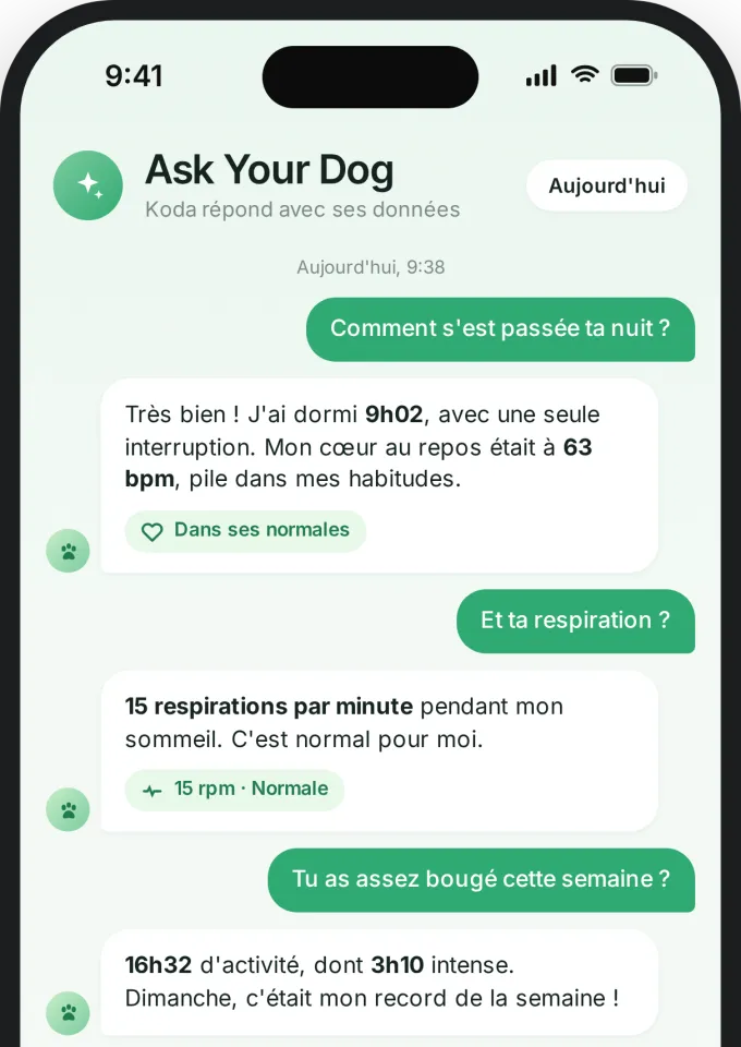 Ask Your Dog sur téléphone : conversation avec Koda sur son sommeil, son cœur, sa respiration et son activité