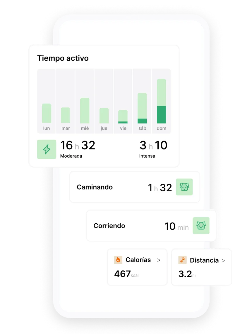 Captura de pantalla de la app de seguimiento de actividad del Biotracker para perros: tiempo activo de la semana, duración de paseo y carrera, calorías quemadas y distancia recorrida.