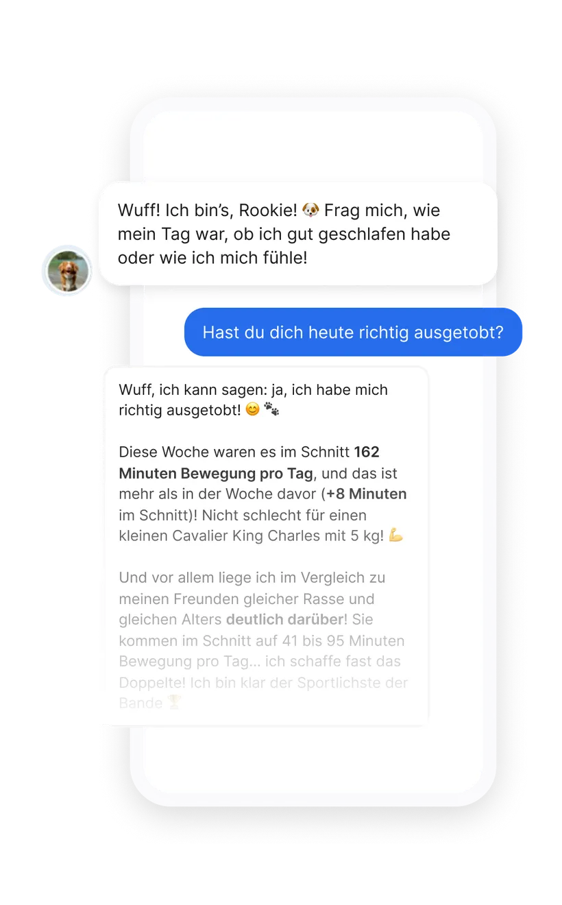Screenshot des Chats in der Biotracker App für Hunde: der Hund antwortet auf eine Frage zu seiner Bewegung anhand der Daten seines Smart-Halsbands.