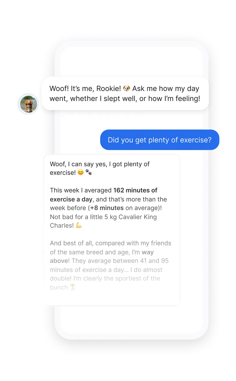 Screenshot of the chat in the Biotracker app for dogs: the dog answers a question about their exercise using the data measured by their smart collar.