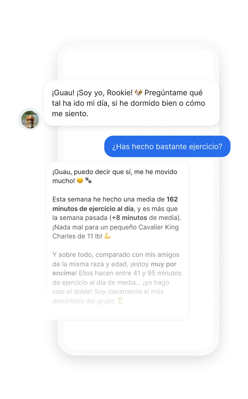 Captura de pantalla del chat de la app Biotracker para perros: el perro responde a una pregunta sobre su ejercicio con los datos medidos por su collar inteligente.