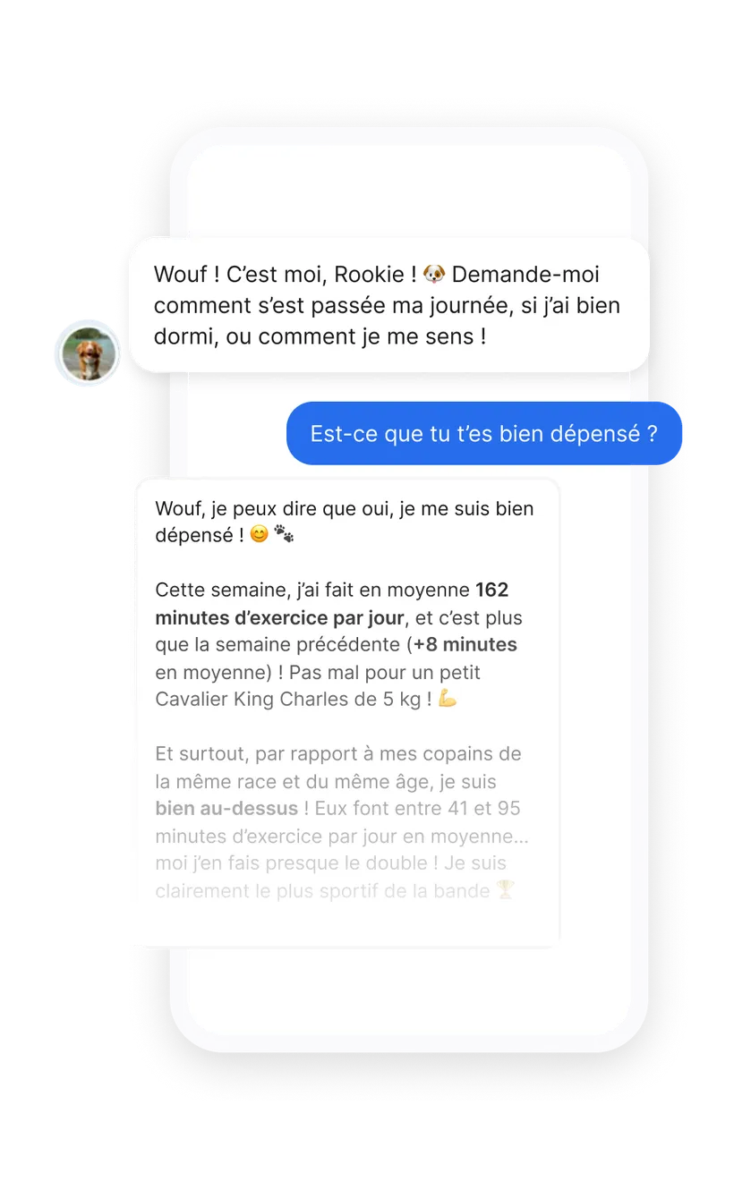Capture d’écran du chat de l’application Biotracker pour chien : le chien répond à une question sur son exercice grâce aux données mesurées par son collier connecté.