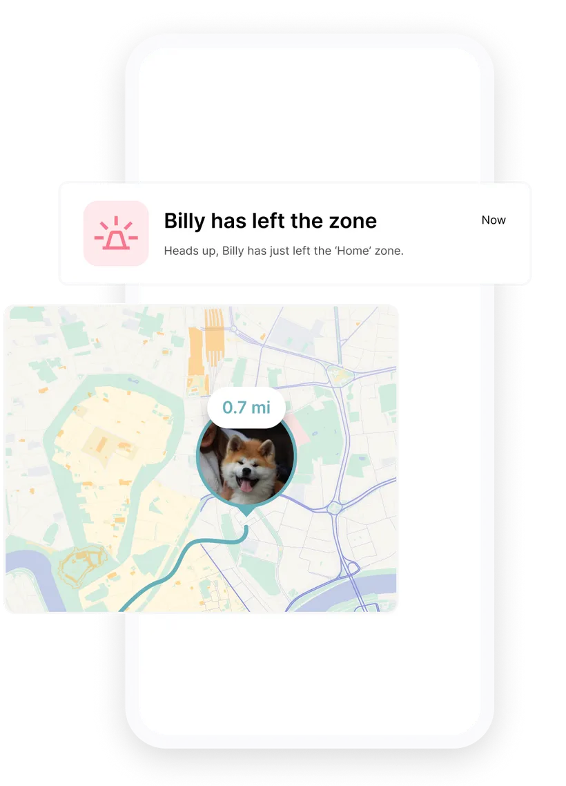 Screenshot of the Biotracker GPS tracker app for dogs: a dog located on a map, with a push alert warning that they have left the Home safe zone.