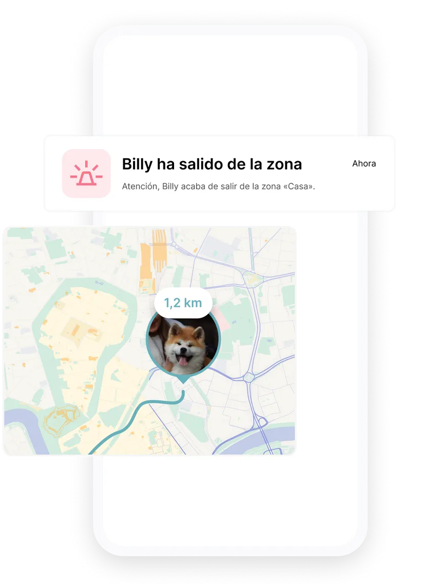 Captura de pantalla de la app de localización GPS del Biotracker para perros: un perro localizado en el mapa y una alerta de salida de la zona segura Casa.