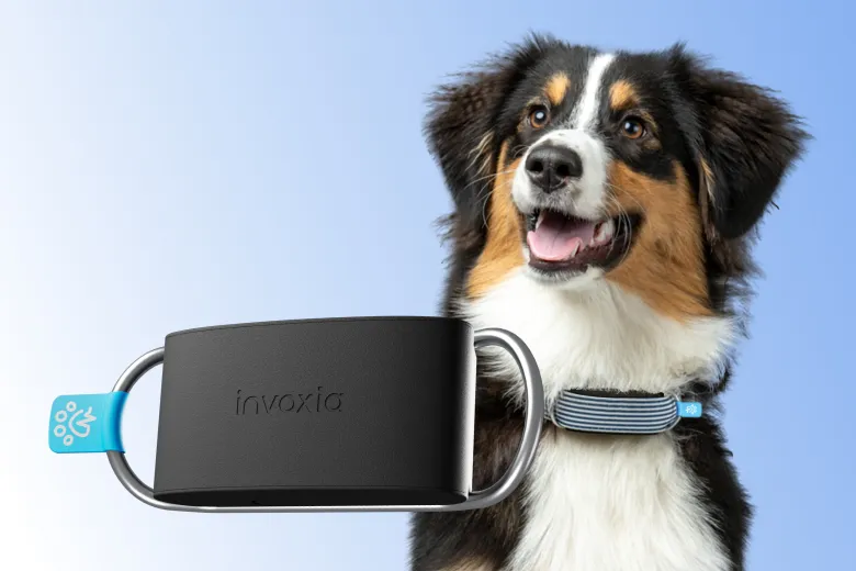 Invoxia Pet Tracker Rastreador GPS para Mascotas con Seguimiento de  Actividad