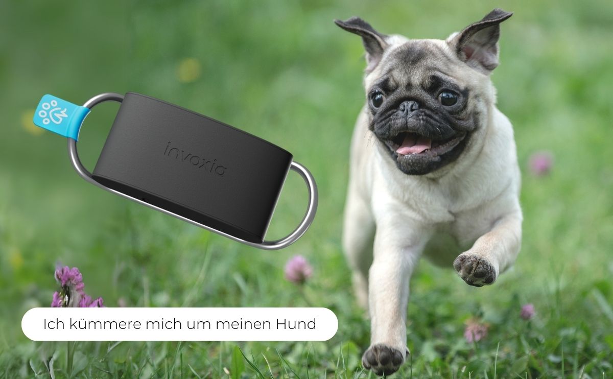 invoxia Produkt