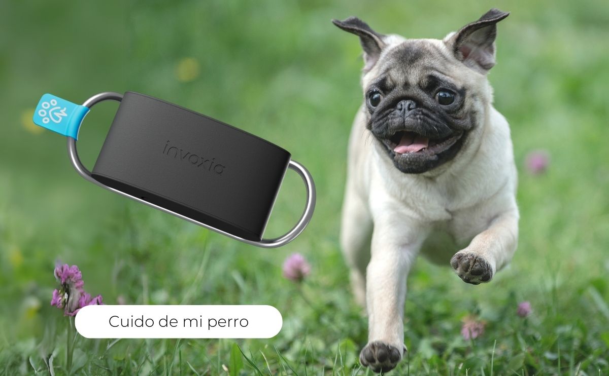 producto invoxia