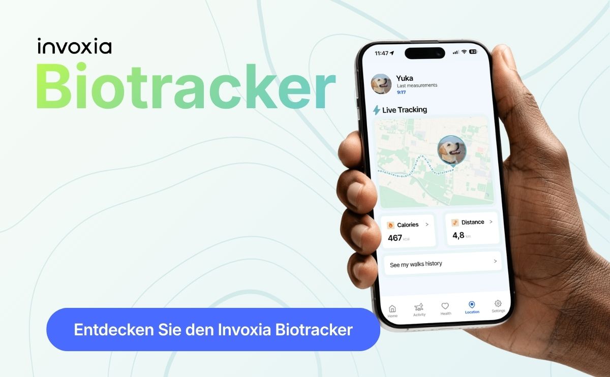 Invoxia Biotracker GPS in Echtzeit für Hunde