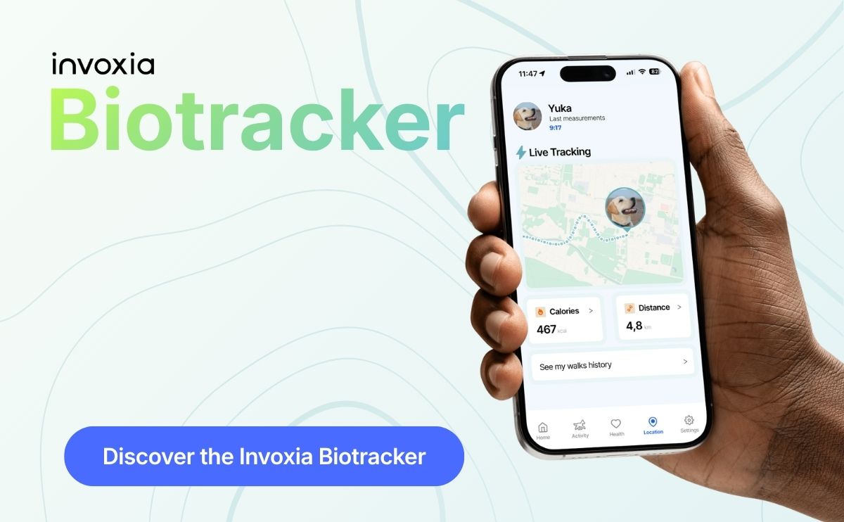 Invoxia Biotracker real-time GPS for dogs