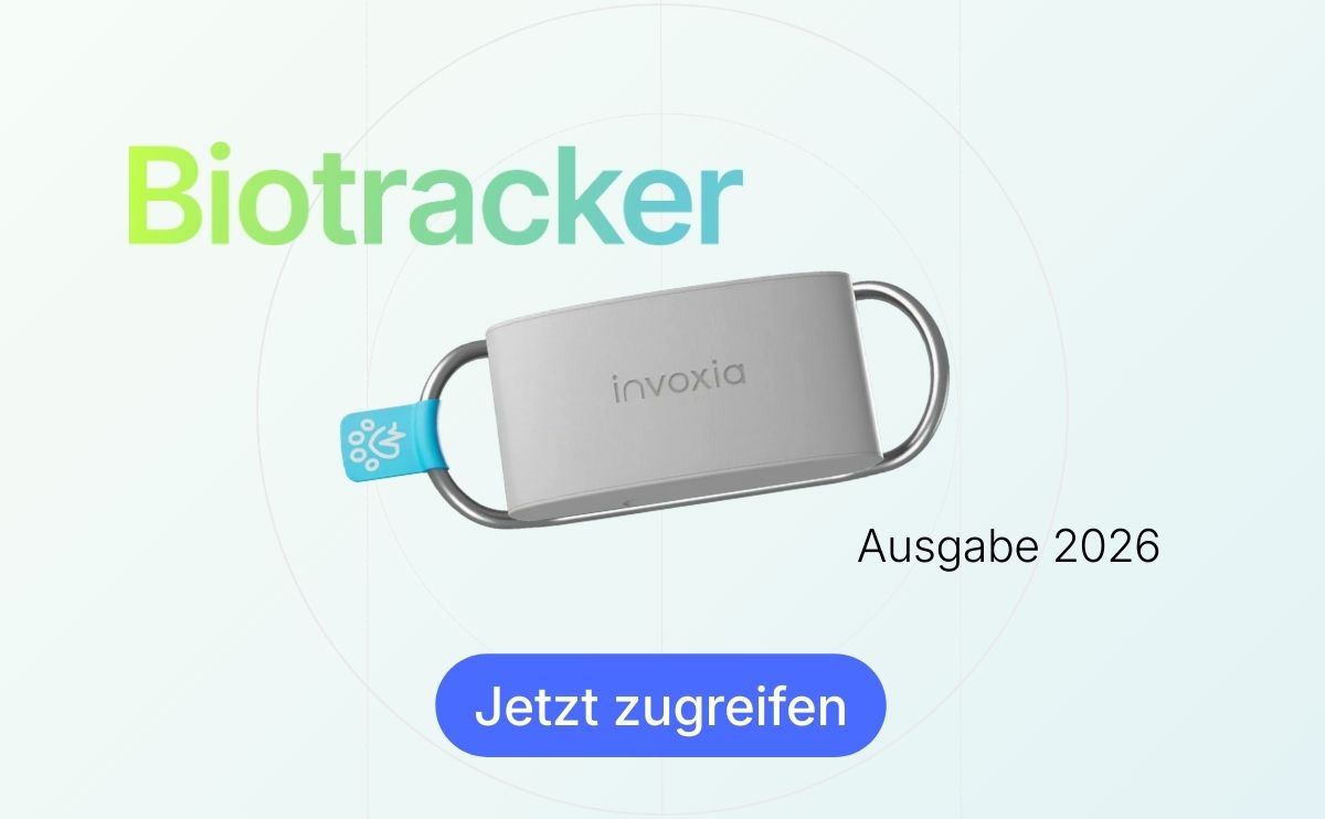 invoxia Produkt