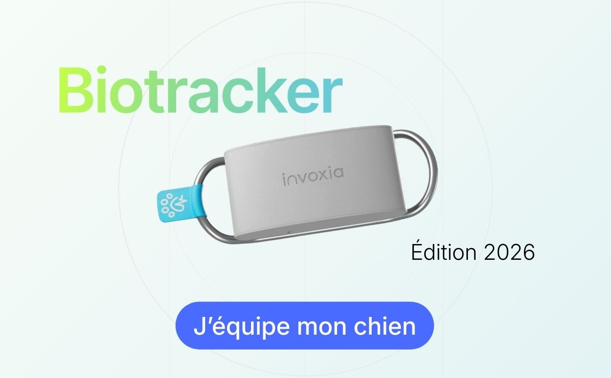 invoxia product