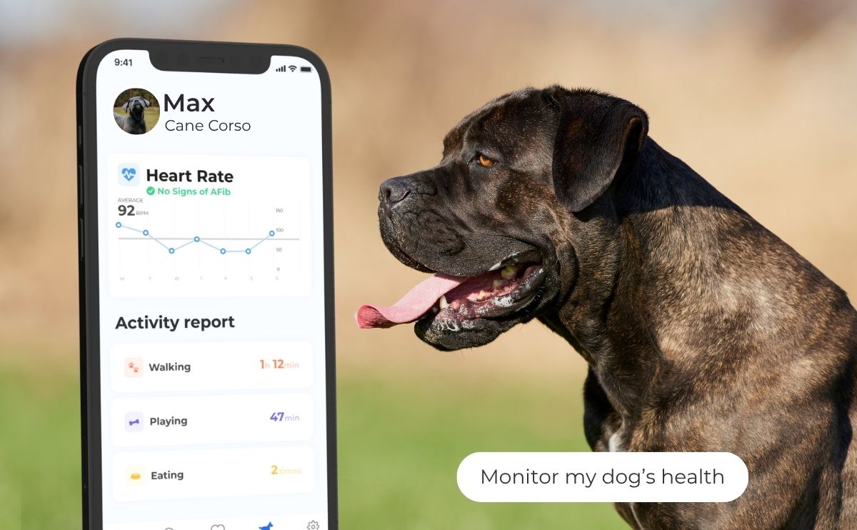 invoxia product