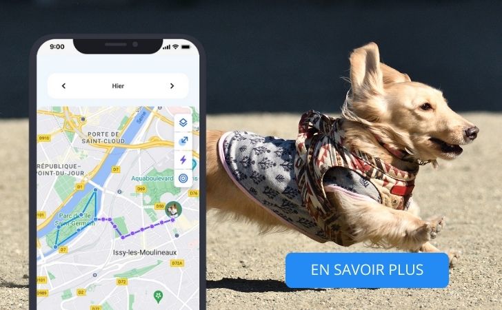 invoxia product