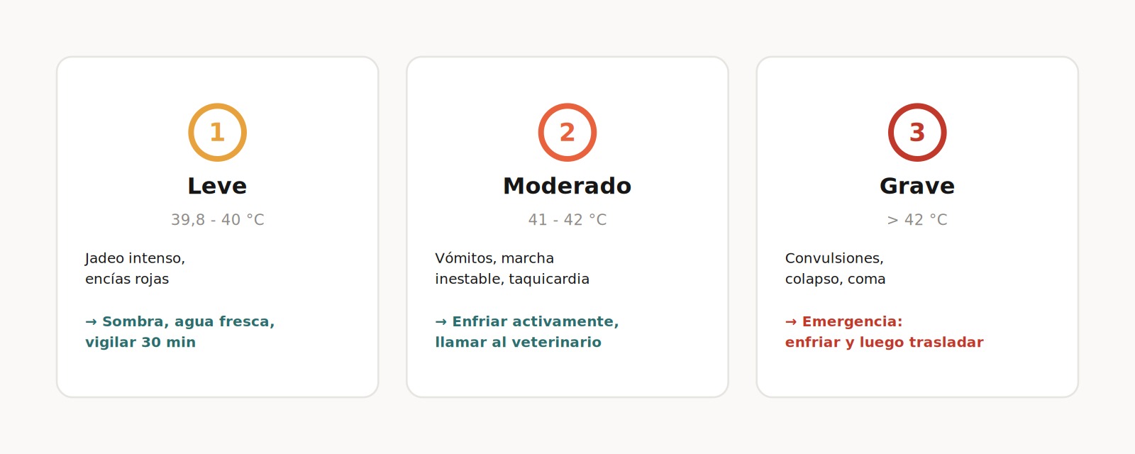 producto invoxia