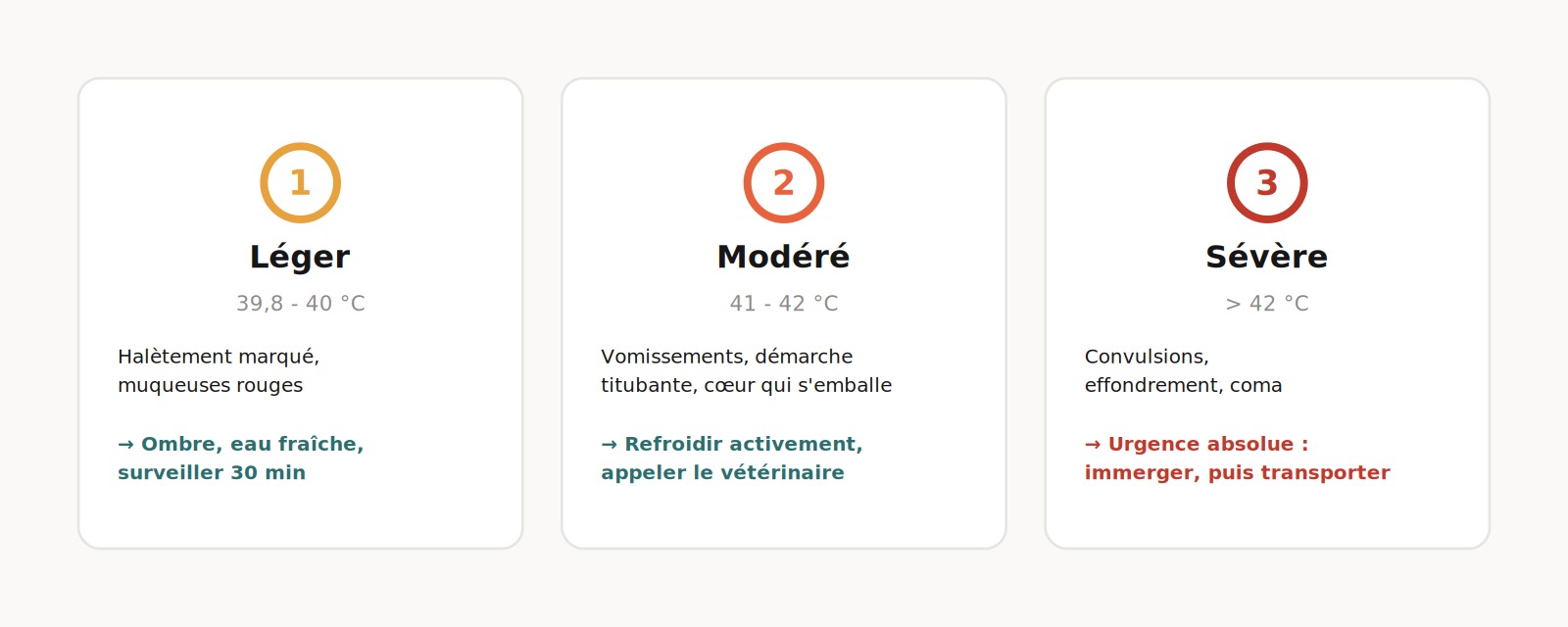 invoxia product
