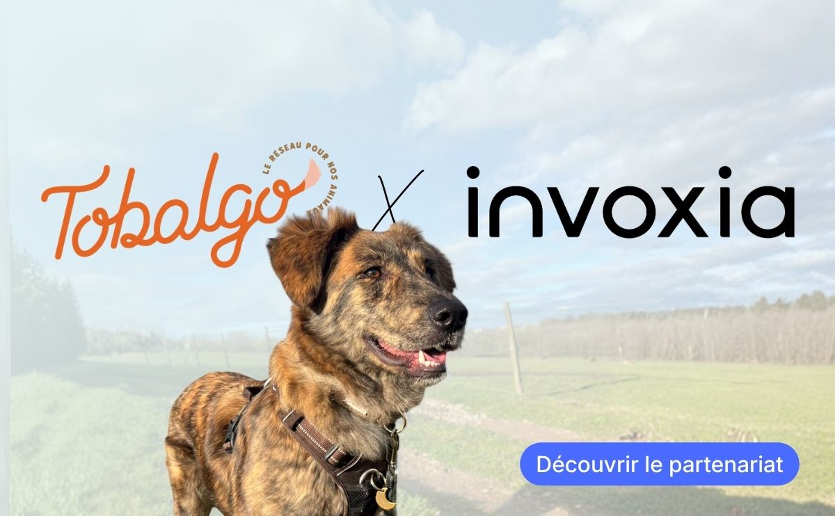 invoxia product