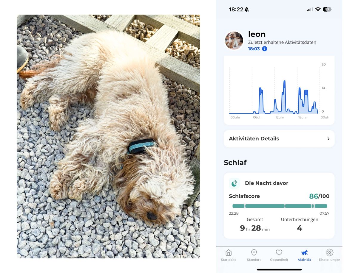 Bildschirm der Invoxia-App, der den Schlafscore zeigt