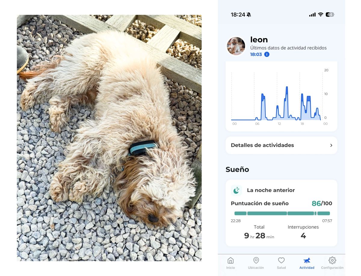 Sueño de perro: Pantalla de la app invoxia mostrando el puntaje de sueño