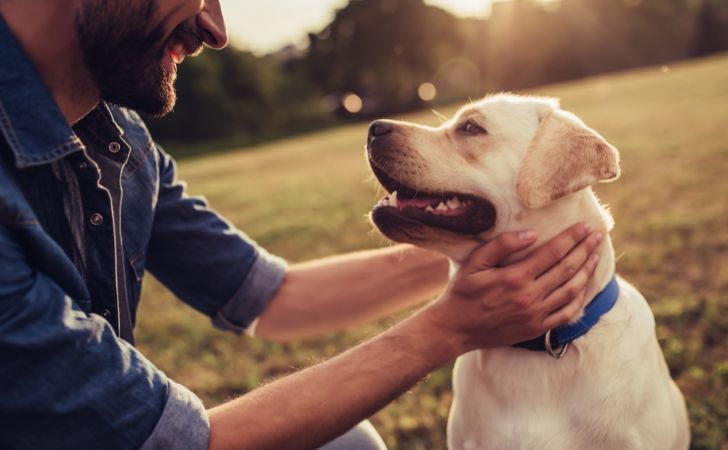 Adoption d&rsquo;un chien : découvrez le top 10 des races préférées des Français
