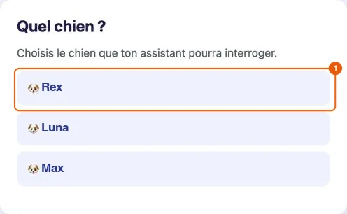 Seite „Quel chien ?“ zur Auswahl des Hundes, der verbunden werden soll