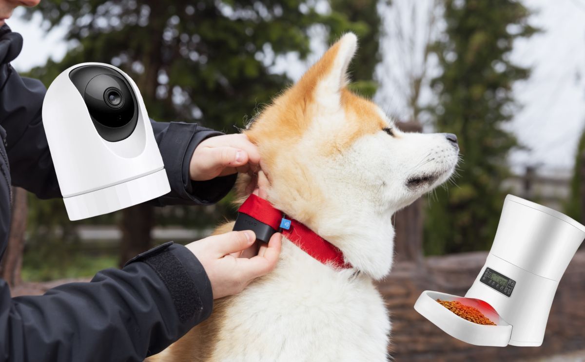 How Connected Devices for Dogs Improve Your Daily Life (and Theirs)?