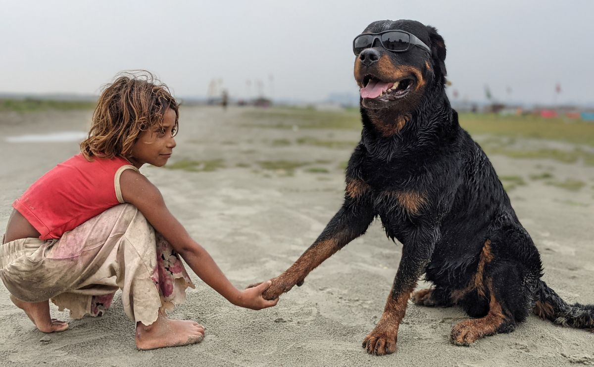 Ist der Rottweiler freundlich?