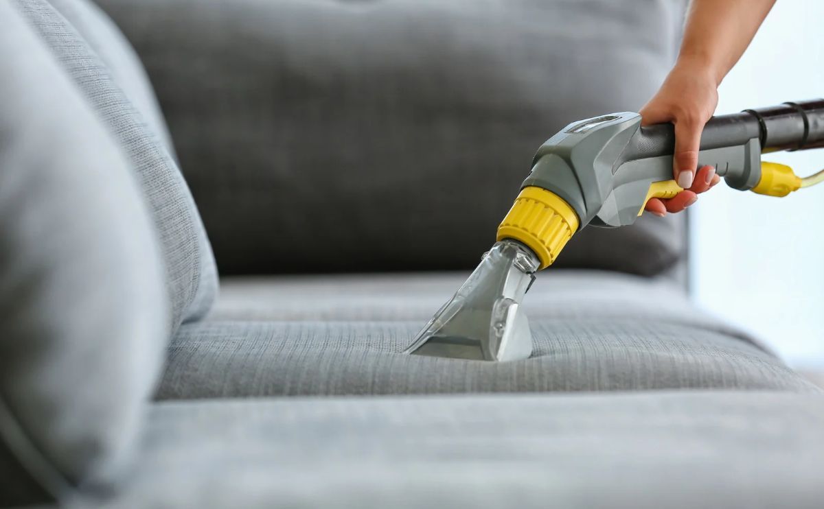 Fleas in dogs: washing the sofa helps stop them from spreading