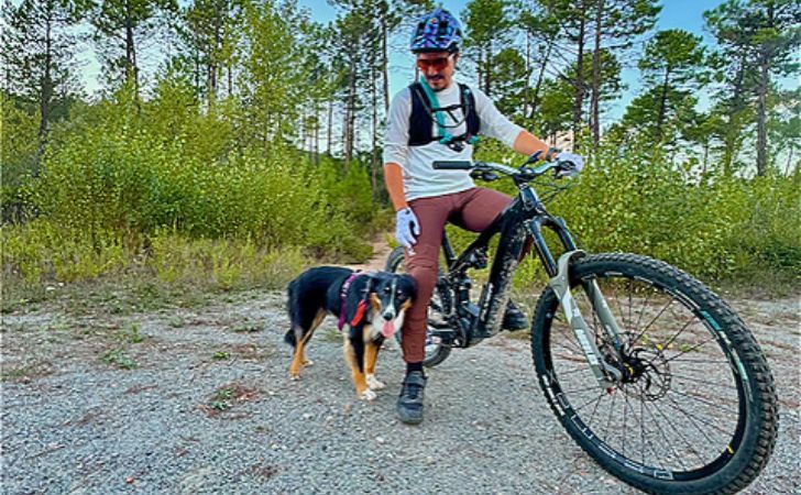 Charly the runaway Border Collie found thanks to Minitailz and his owner
